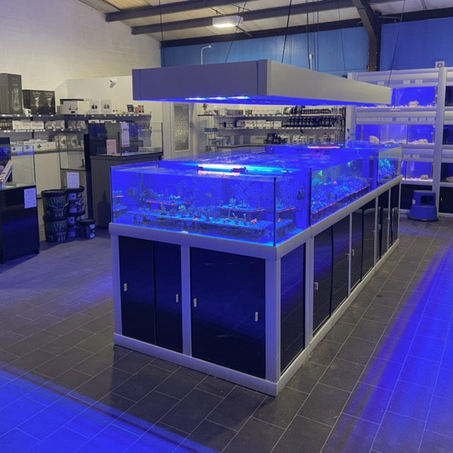 Reef sales tank store